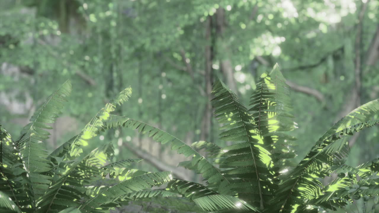 Lush ferns thrive under sunlight in a vibrant green forest setting