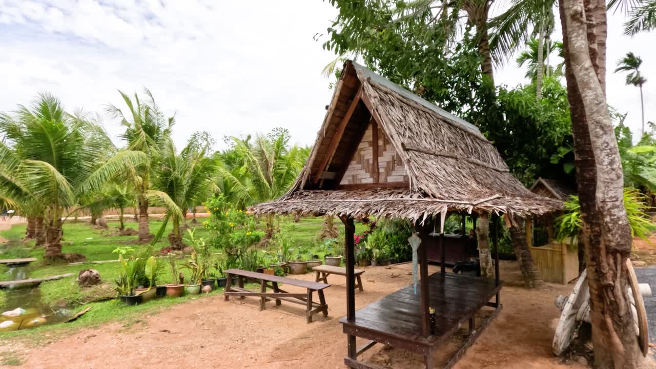 Static wide shot of rustic wooden hut amid tropical coconut trees, bright daylight, natural landscape