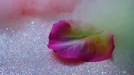 pink rose petal in smoke on glitter
