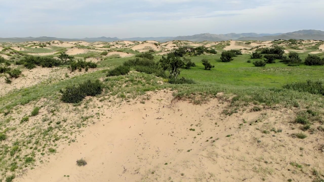 Vista aerea di dune sabbiose e praterie verdi in Mongolia