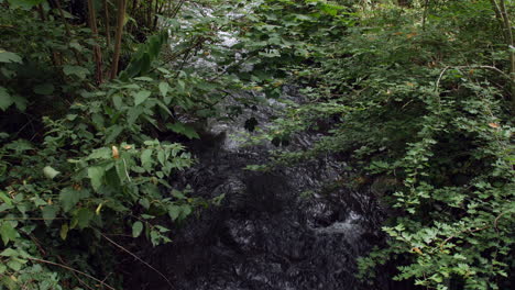 fast flowing river in the woods or rain forest
