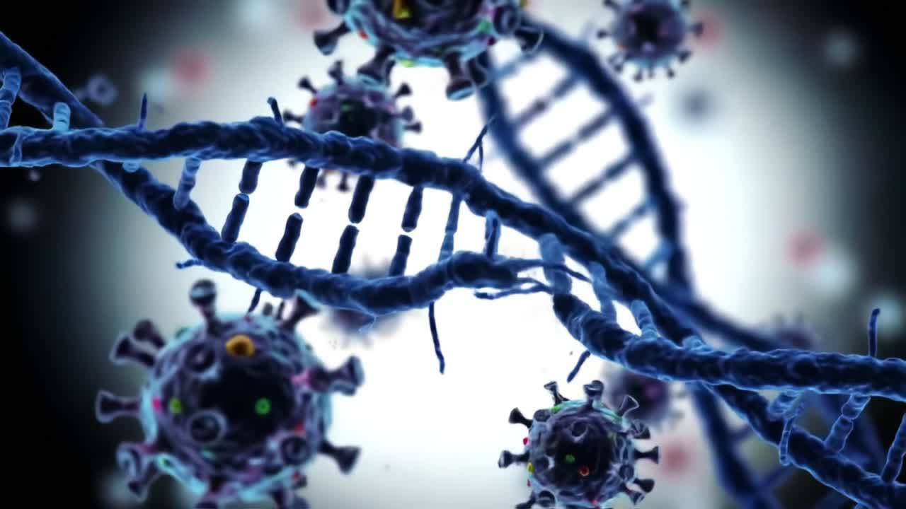 Exploring the Complex Interactions Between Virus Particles and Genetic Material: A Close-Up Look at Viral Structures within Cellular Environments