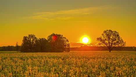 sun moving in the sky