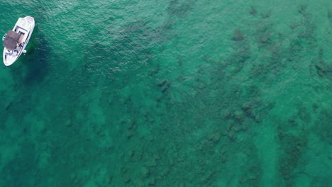 Aerial-top-down-shot-over-boats-in-shallow-waters-of-Lake-Tahoe,-in-CA,-USA