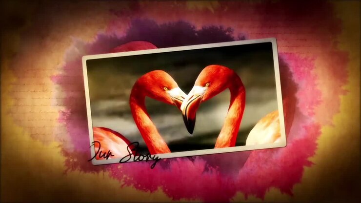 Memories in a Photo Album