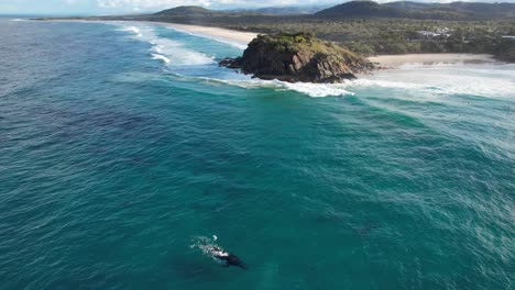 Norries-Headland-And-Scenic-Seascape-In-NSW,-Australia---aerial-drone-shot