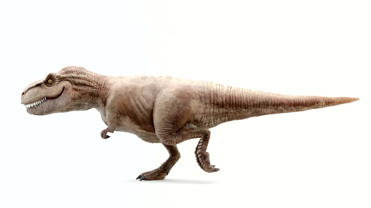 티라노사우루스 렉스 (tyrannosaurus rex) 가 공격을 하고 있다.