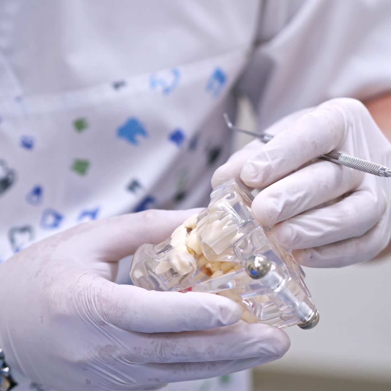 Artificial teeth in doctor's hands. Dentist in sterile gloves holding jaw model and shows something with special tool.