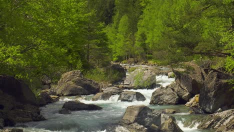 forest river, rushing alpine stream in pyrenees, spain