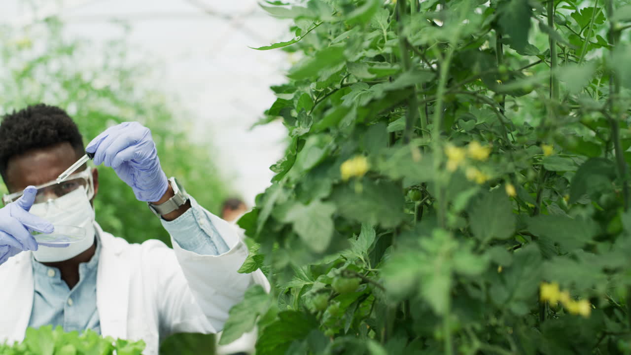현미경은 답을 가지고 있습니다.