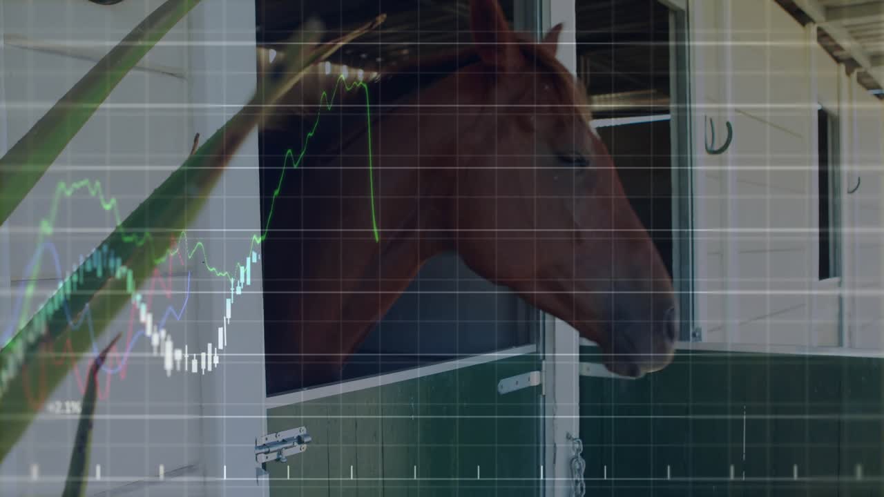 Upon door opening chestnut horse poking out as overlay fading camera panning revealing rising chart
