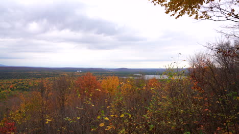 Still-shot-on-top-of-a-maple-tree-mountain-with-leaf-in-the-wind