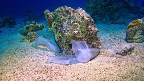 bolsas de plástico en el fondo marino del arrecife de coral