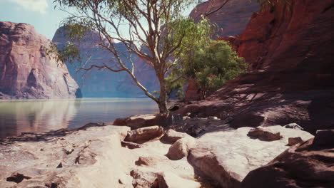 a scenic view of a canyon with a river