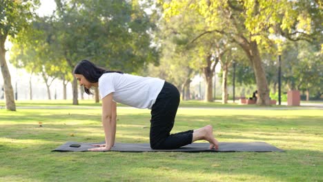 Indisches-Mädchen-Lernt-Morgens-In-Einem-Park-Yoga-Aus-Dem-Internet