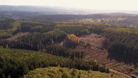 drone flight over thuringian forest in germany with areas cleared due to bark beetle