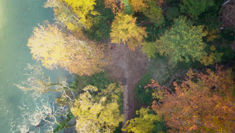 aerial top down, colorful autumn trees next to river in park