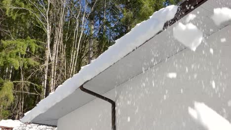 snow sliding off tin roof after snow storm in december in canada