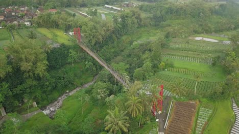 suspension bridge crossing the valley with waterfall surrounded by dense of trees and vegetable plantation