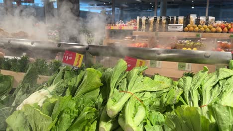 fresh mustard greens and bok choy on display at a grocery store