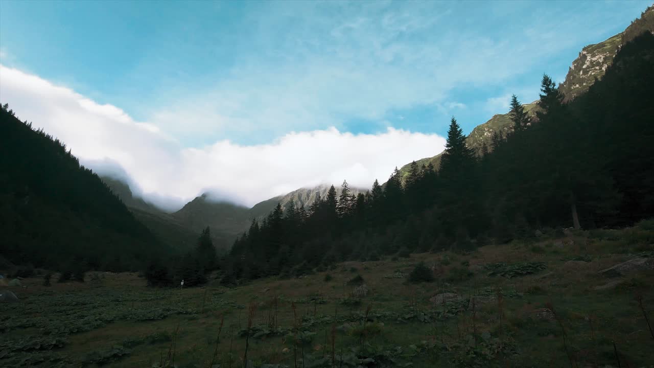 Pan left camera movement of a mountain valley with a meadow, pine forests in the foreground and a background showing some mountain peaks covered in white cloud