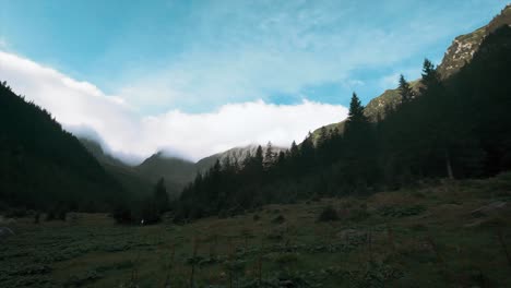 pan left camera movement of a mountain valley with a meadow, pine forests in the foreground and a background showing some mountain peaks covered in white cloud