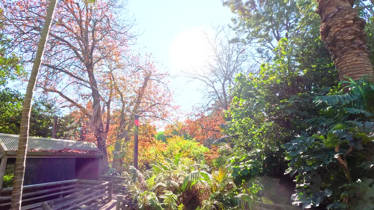 호주 멜버른에 있는 울창한 정글 동물원에서 밝은 빛 날