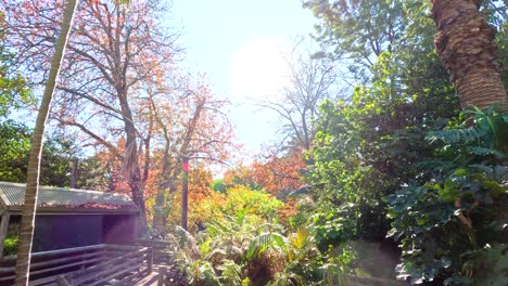 bright sunny day at lush jungle zoo in melbourne australia