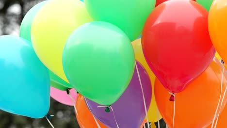 los globos de helio festivos.
