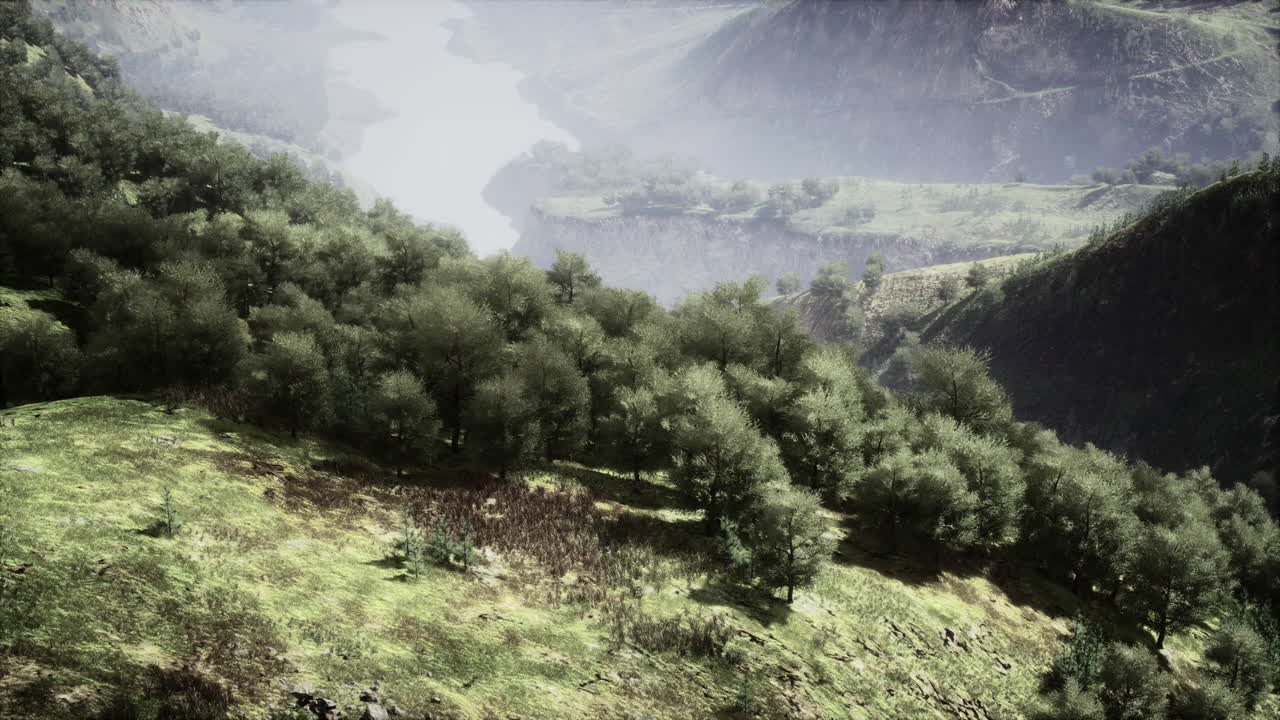 paisaje rural pintoresco con verde valle de montaña de verano y bosques