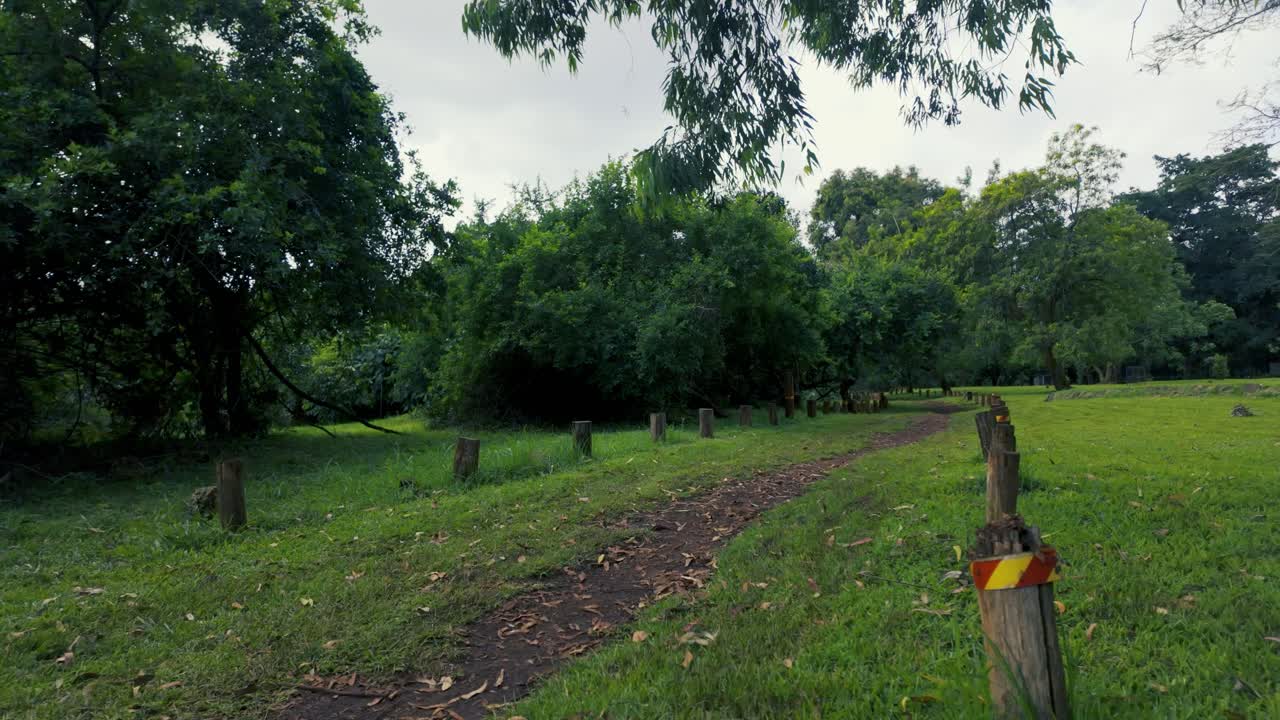 Tranquil Pathway in a Lush Green Park