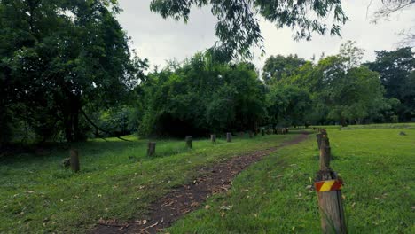 Camino-Tranquilo-En-Un-Exuberante-Parque-Verde.