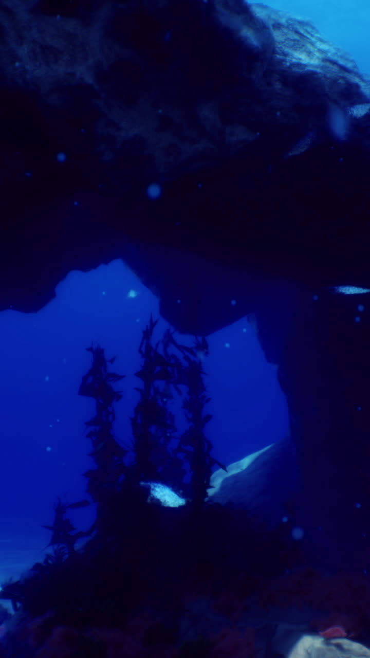 Exploring underwater caves filled with marine life in a vibrant ocean