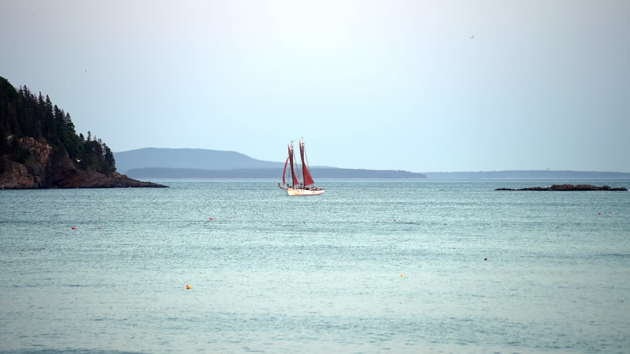 Sailboat glides to marina as ocean water sparkles and seagulls soar through sky