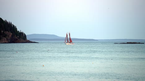 Segelboot-Gleitet-Zum-Yachthafen,-Während-Das-Meerwasser-Glitzert-Und-Möwen-Durch-Den-Himmel-Fliegen