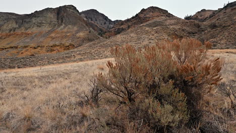 kamloops' cinnamon ridge amidst sprawling grasslands