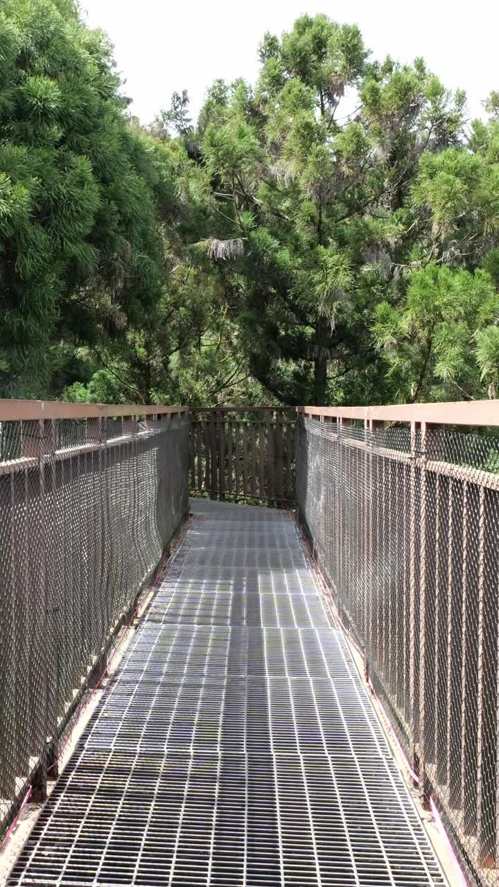 Vertical video of the Skywalk elevated walkway at Xitou Nature Education Area in Taiwan