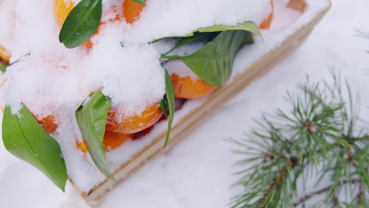 зимние апельсины в снегу