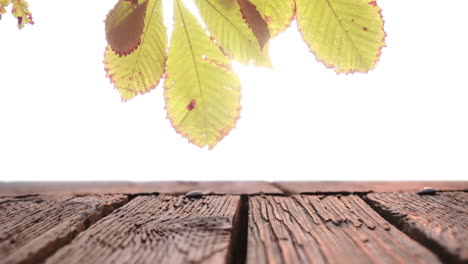 wooden plank deck with a view of a bright light