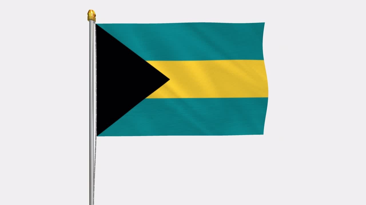 바하마 발이 바람에 떠다니는 루프 비디오, 4k의 느린 동작 비디오, 알파 채널