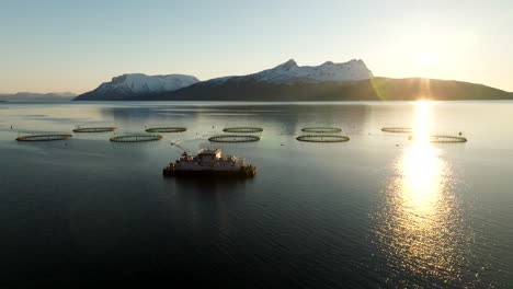 aerial during midnight sun of feed barge with pipes to salmon farm marine pens