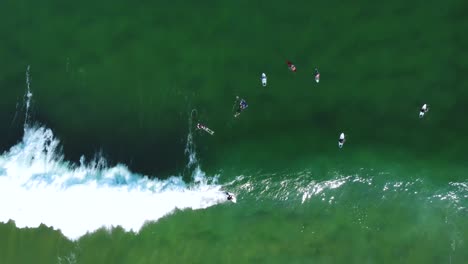 vista aérea del paisaje de drones de surfista montando olas aguas cristalinas olas banco de arena costa avoca terrigal nsw australia 4k