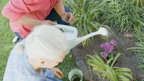 happy senior biracial couple working in sunny garden at home, slow motion