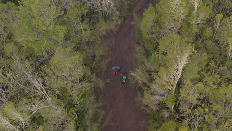 trekking-following-a-couple-of-hikers-and-a-dog-in-a-national-park-with-a-volcano