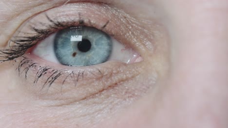 close up of right blue eye with eyelashes