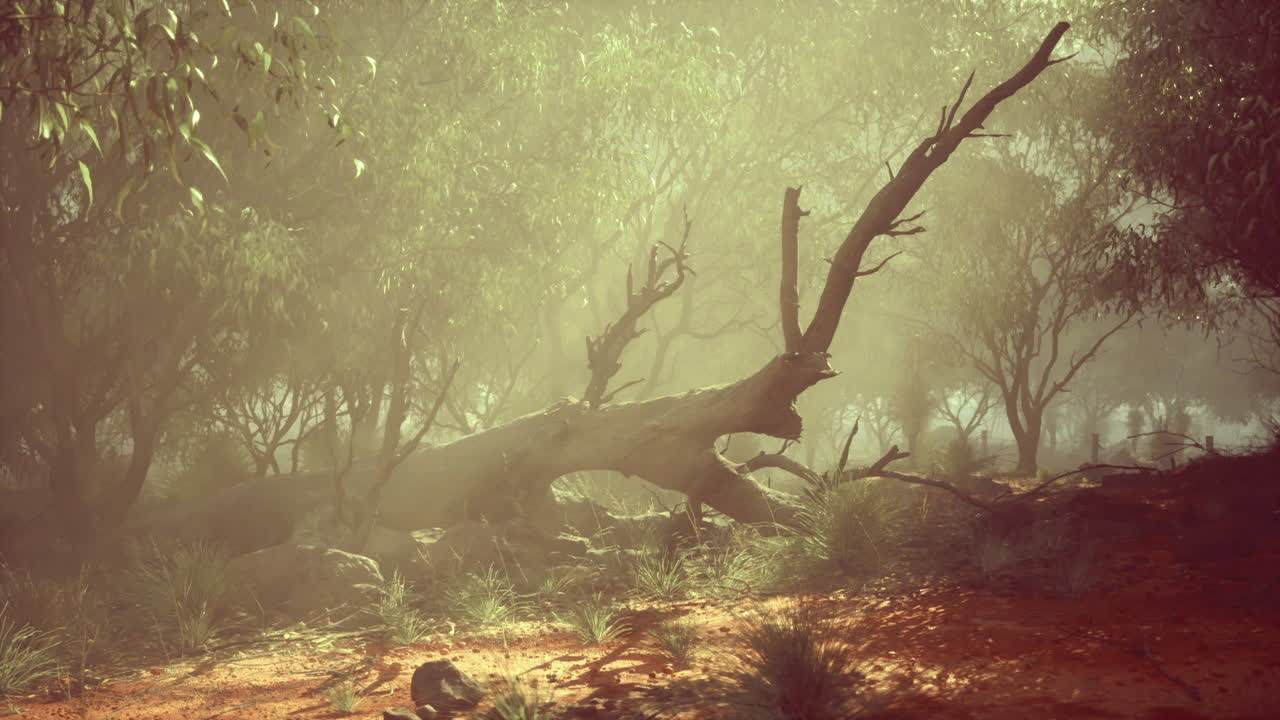 Scena pacifica che evidenzia un albero caduto e luminoso tra una folta vegetazione e muschio soffice.