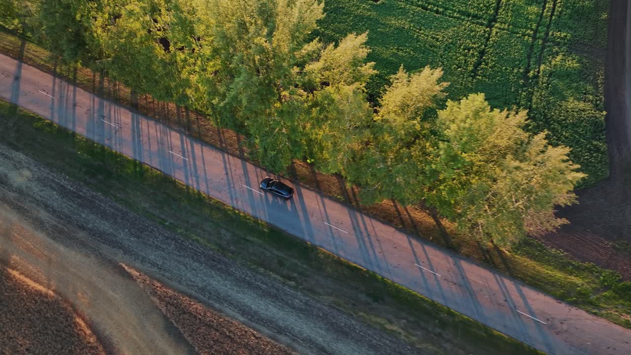 자동차 공중 전망을 가진 시골 도로