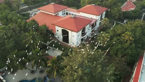 storks are flying from the tree closeup view bird eye view