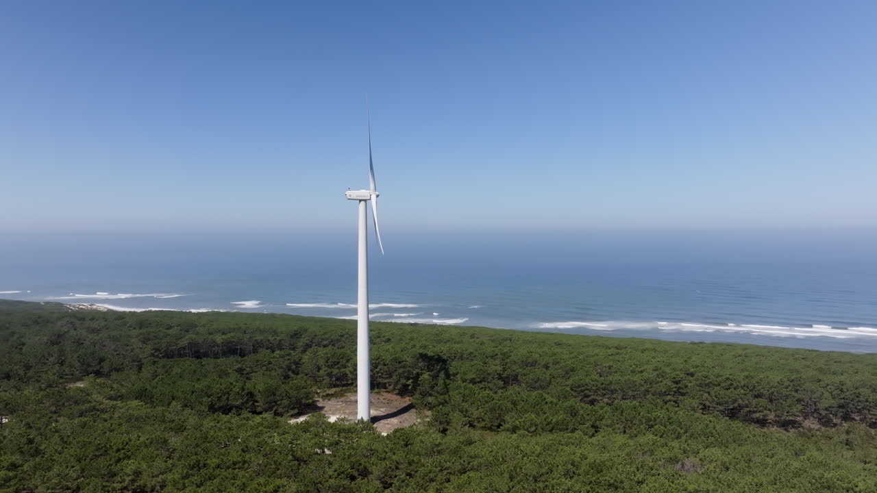해안 숲에 있는 풍력 터빈