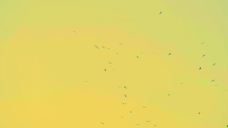 una bandada de pájaros volando contra el telón de fondo de un cielo de tonos amarillos - disparo de bajo ángulo